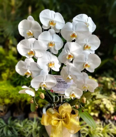 toko bunga terdekat dari saya