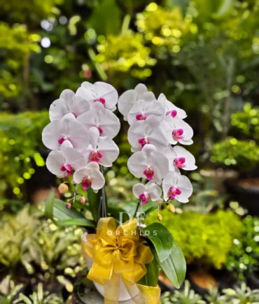 florist jakarta selatan