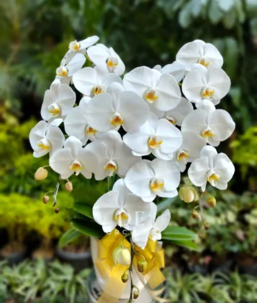 florist terdekat dari saya