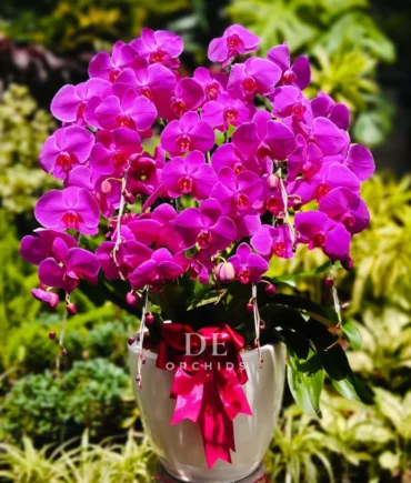 toko buket bunga terdekat