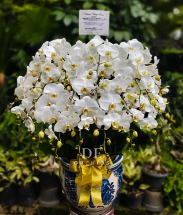 florist kebayoran baru