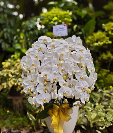 toko bunga terdekat dari lokasi saya