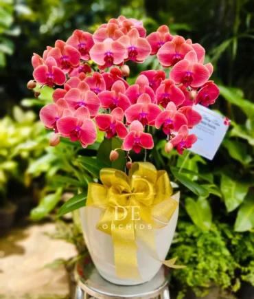 karangan bunga terdekat