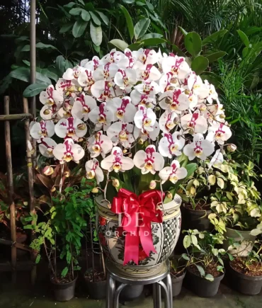 toko bunga jakarta selatan