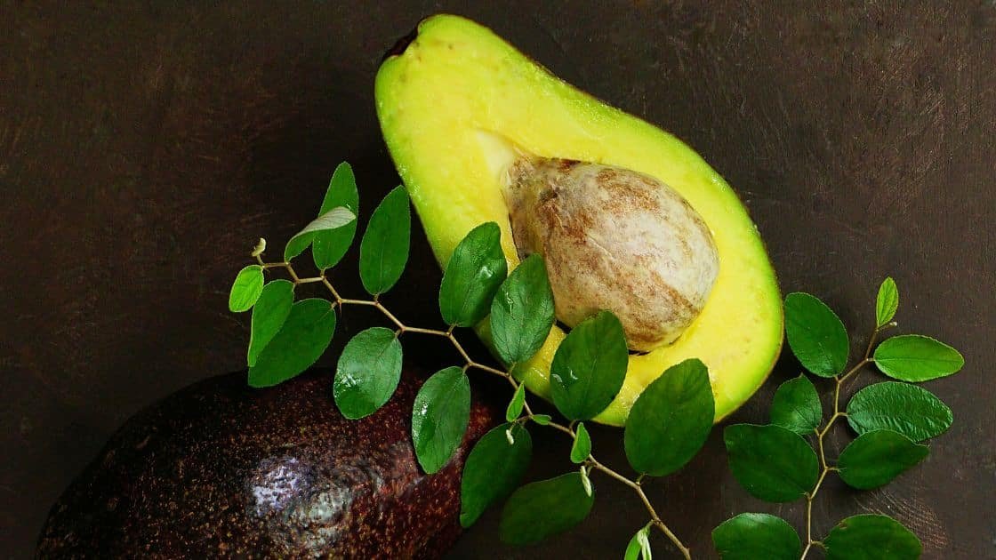 Wajib Tahu!! 10 Manfaat Alpukat