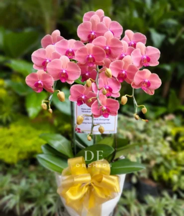 harga karangan bunga