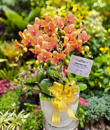 toko buket bunga terdekat