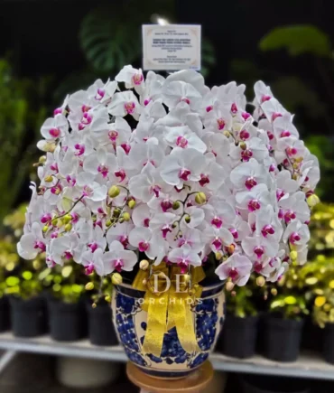 toko karangan bunga terdekat