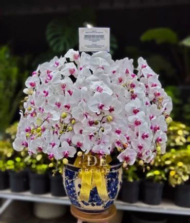 toko karangan bunga terdekat jakarta