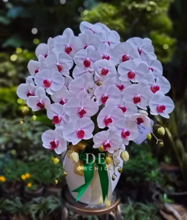 anggrek bulan jakarta