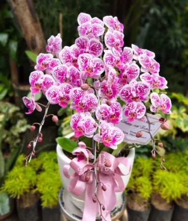 jual buket bunga terdekat