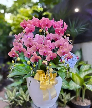 toko bunga kebayoran lama