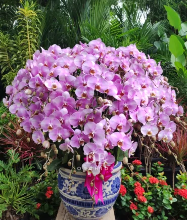 harga papan bunga ucapan