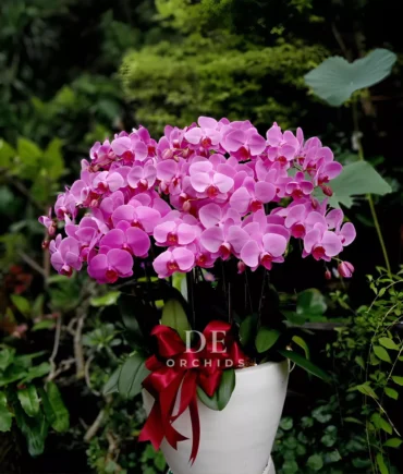 karangan bunga murah