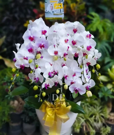 pesan karangan bunga