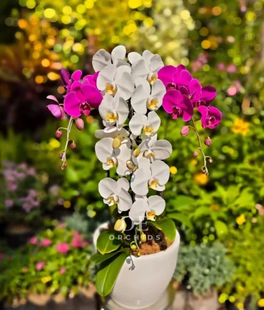 karangan bunga cirebon