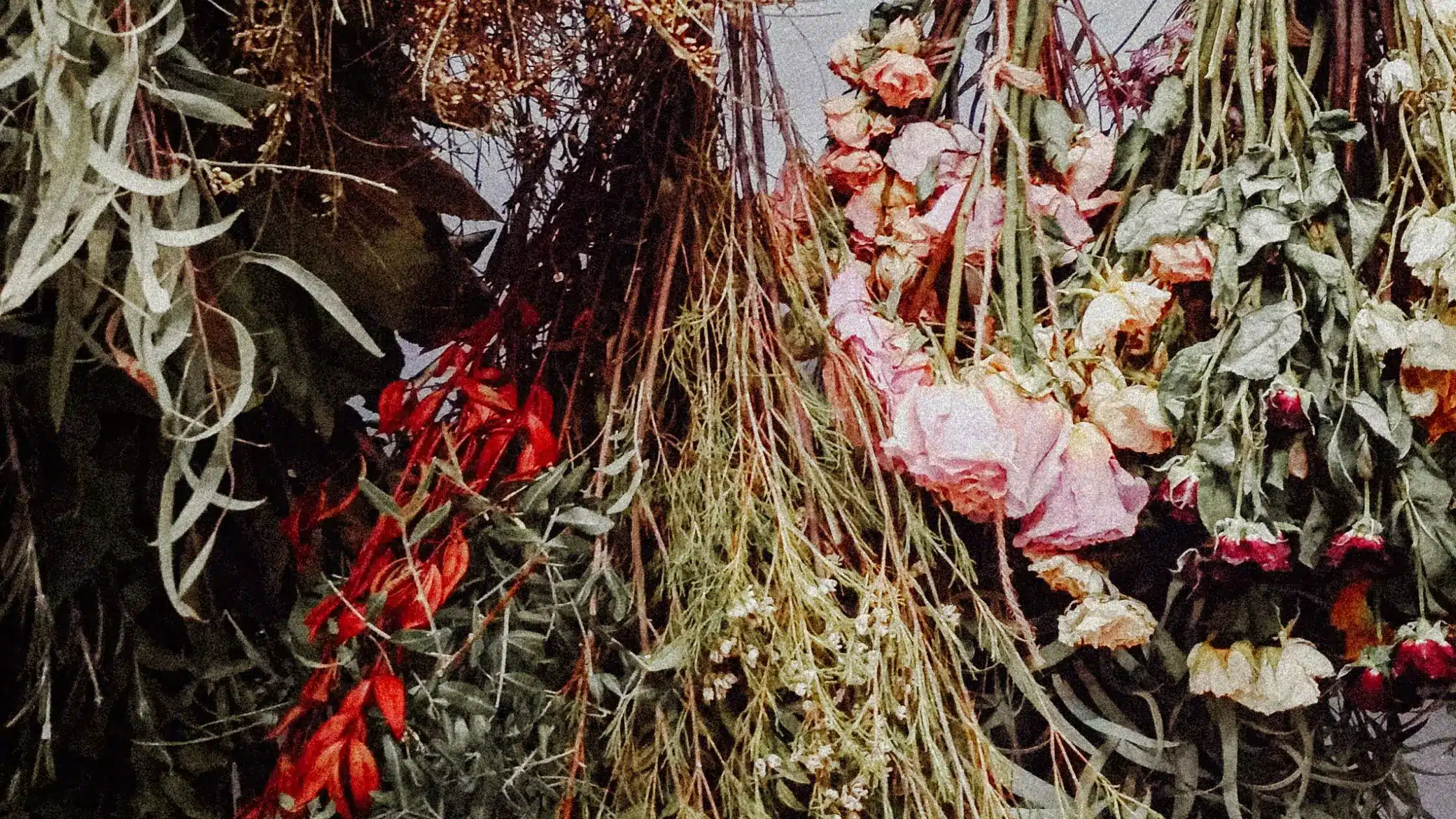 Cara Mengeringkan dan Mengawetkan Bunga