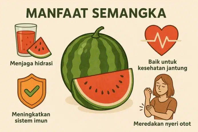 manfaat semangka