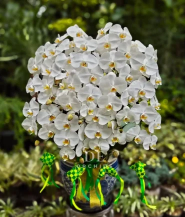 anggrek hampers lebaran warna putih