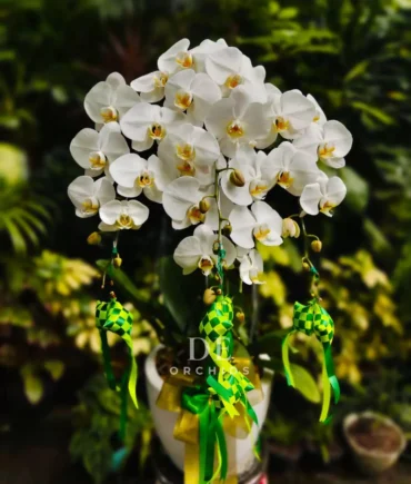 anggrek putih hampers lebaran