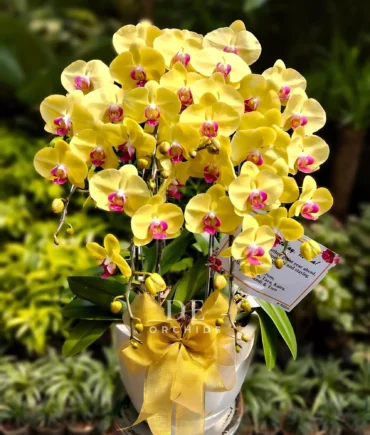 toko bunga anggrek jakarta