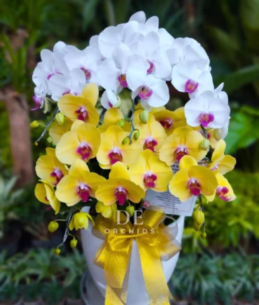 toko bunga terdekat anggrek bulan