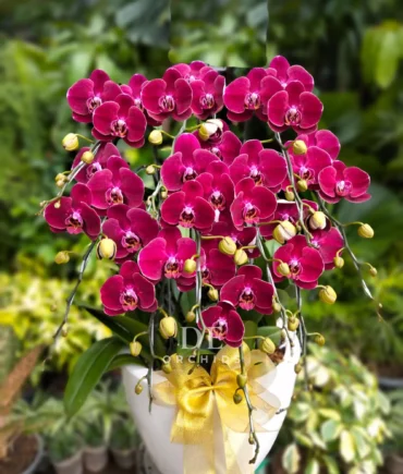 toko bunga tangerang