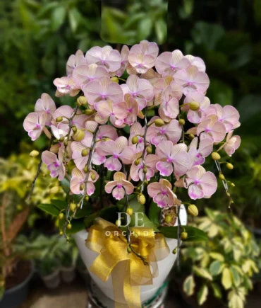 anggren bulan terdekat