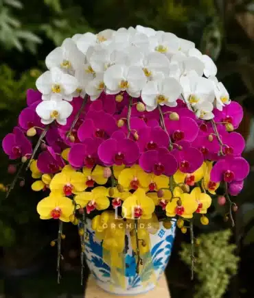 Florist Jakarta Terdekat