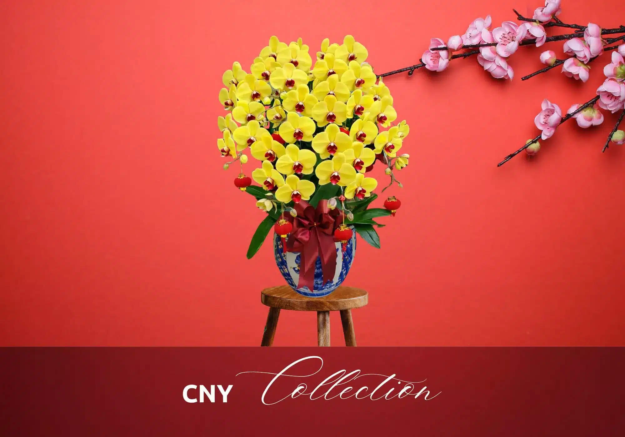 anggrek bulan edisi natal